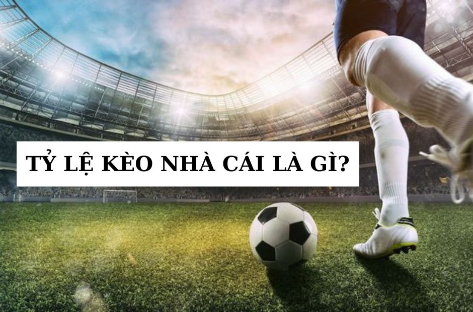 Đôi nét cơ bản xoay quanh tỷ lệ kèo trực tuyến